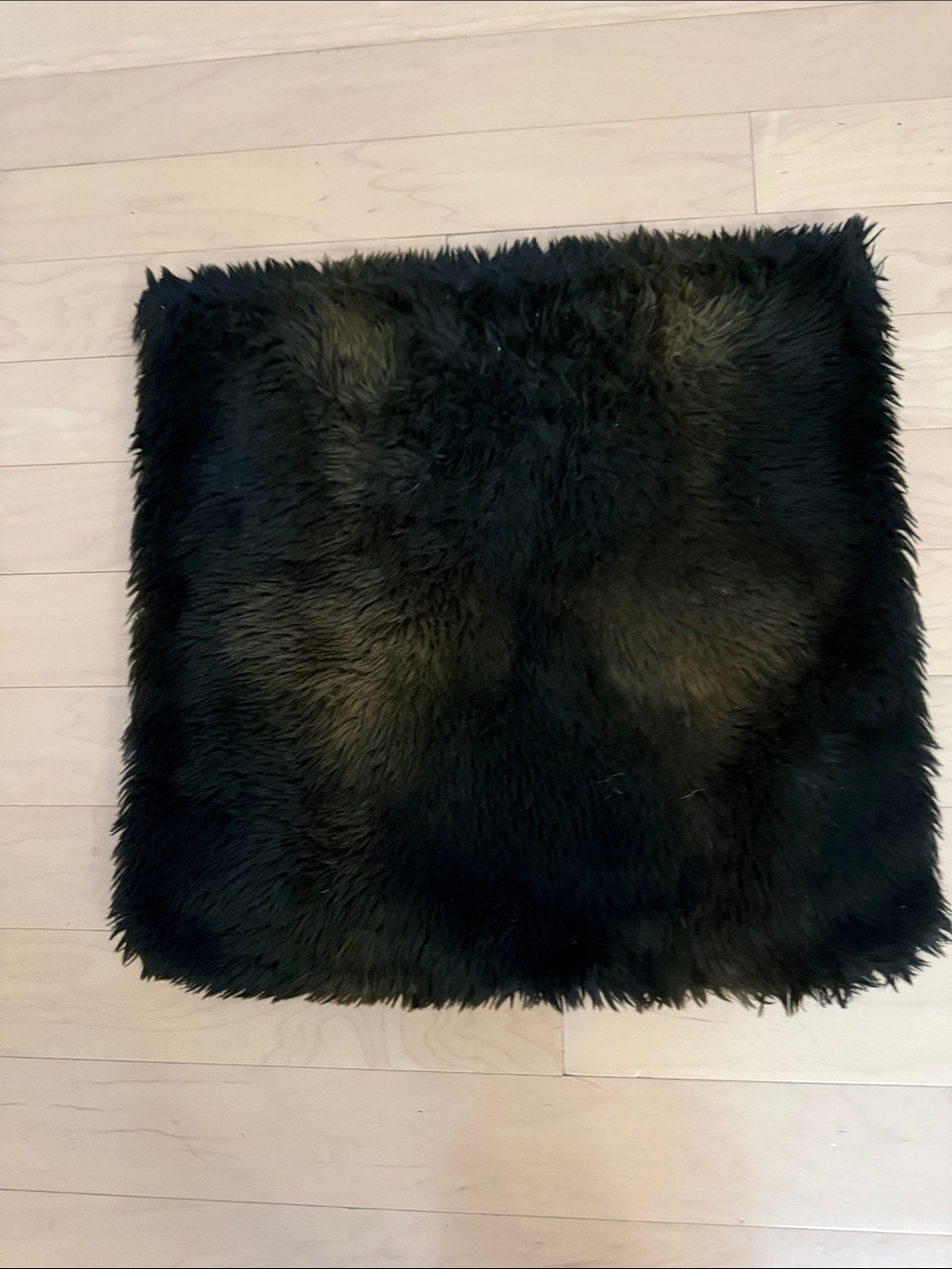 Pottery Barn  Black Faux Fur Square Pillow Cover
